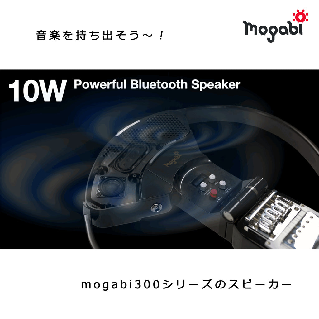 MSG300（ニューリリースモデル） クラシック